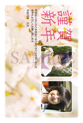 hd06 桜の写真フレーム年賀状