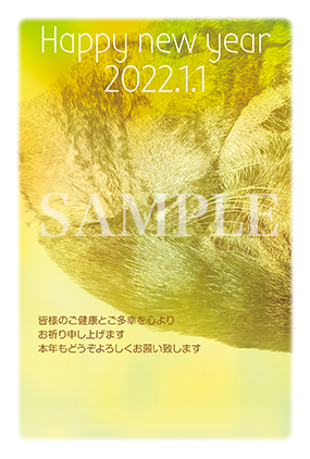 hc03 2022猫枠年賀状