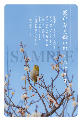 he02 梅とメジロの寒中見舞い