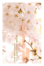 桜の写真年賀状2025