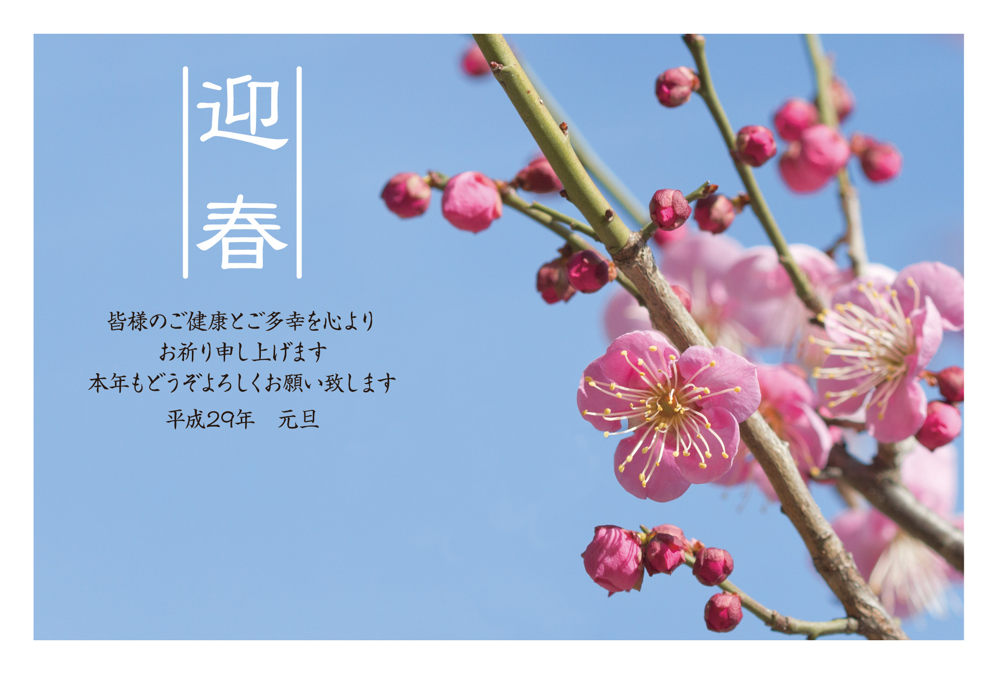 梅の花の写真年賀状 17 とり年 写真年賀状