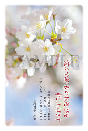 hc02 桜の写真年賀状2018