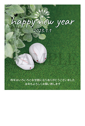 hb06 ２匹のウサギの写真年賀状