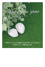 ２匹のウサギの写真年賀状