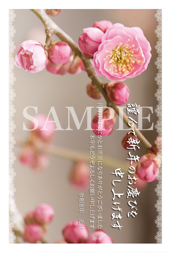 hc07 八重の紅梅年賀状2026