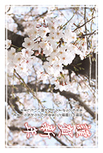 さくらさくら年賀状2026