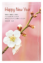 梅の一枝年賀状2026
