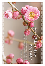 八重の紅梅年賀状2026