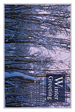 寒中見舞・雪の木立その２｜20