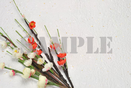 梅の花と和紙写真素材p19